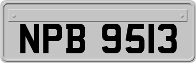 NPB9513