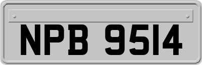 NPB9514