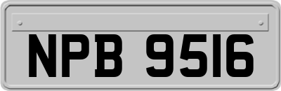 NPB9516