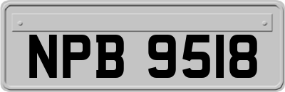 NPB9518