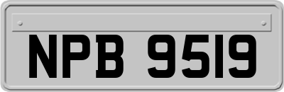 NPB9519