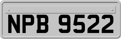 NPB9522