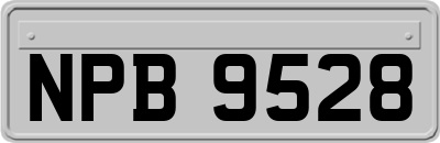 NPB9528