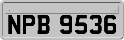 NPB9536