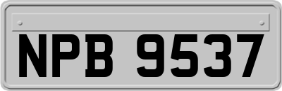 NPB9537