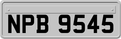 NPB9545