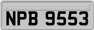 NPB9553