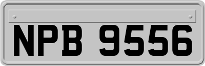 NPB9556
