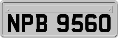 NPB9560