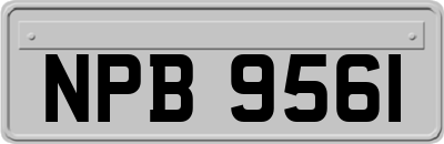 NPB9561