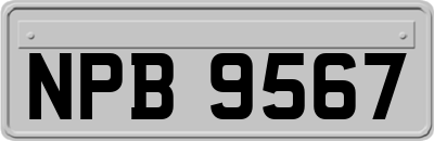 NPB9567