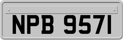 NPB9571