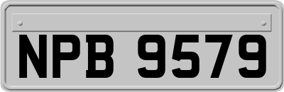 NPB9579