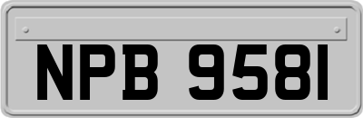 NPB9581