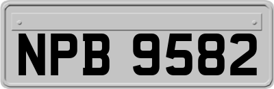 NPB9582