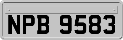 NPB9583