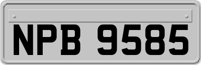 NPB9585