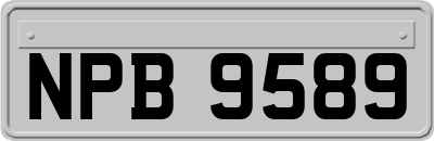 NPB9589