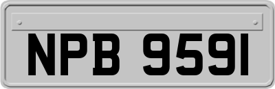 NPB9591