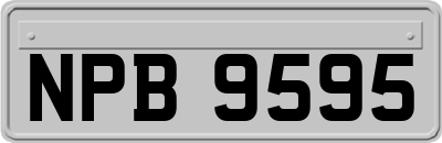 NPB9595