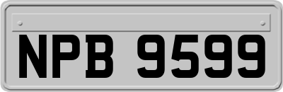 NPB9599