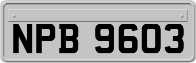 NPB9603