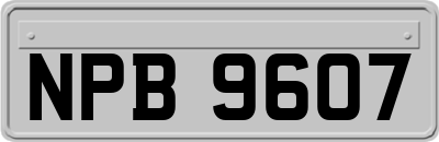 NPB9607