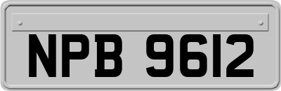 NPB9612