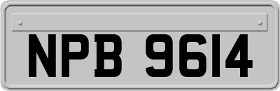 NPB9614