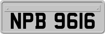 NPB9616