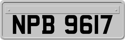 NPB9617