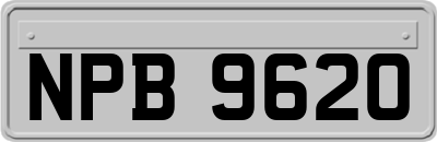 NPB9620