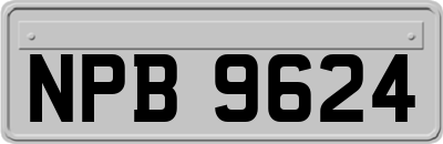 NPB9624