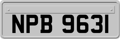 NPB9631