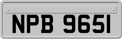 NPB9651