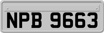 NPB9663