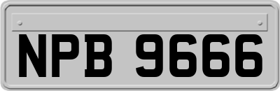 NPB9666