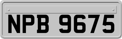 NPB9675