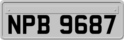 NPB9687