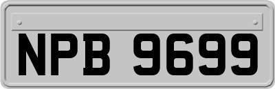 NPB9699