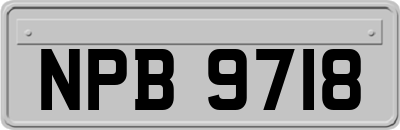 NPB9718
