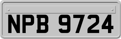 NPB9724