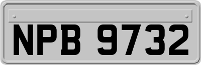 NPB9732