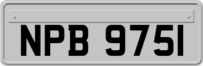 NPB9751