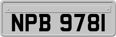 NPB9781