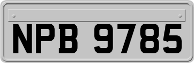 NPB9785