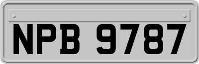 NPB9787