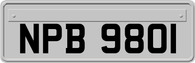 NPB9801