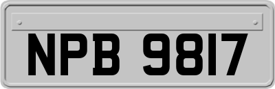 NPB9817