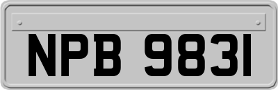 NPB9831